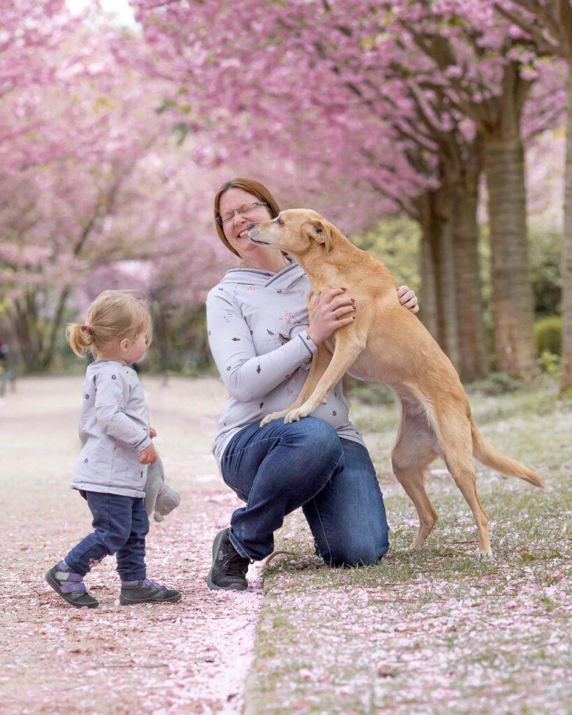 Manuela Uhlenbrock - deine Hunde Fotografin